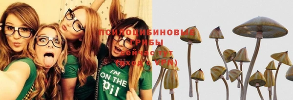 apvp Михайловск