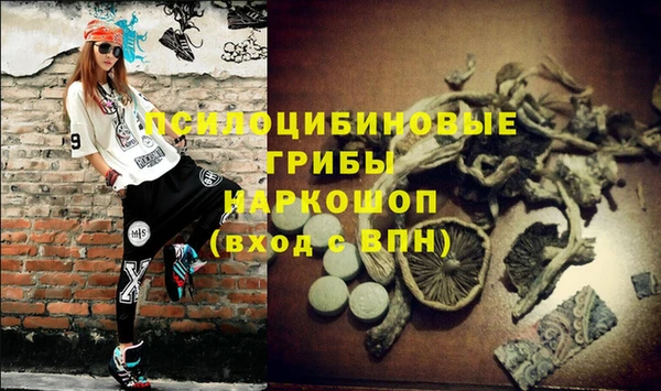 первитин Михайлов