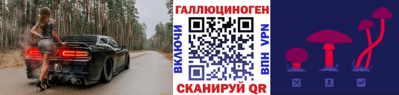 Галлюциногенные грибы Cubensis Мончегорск