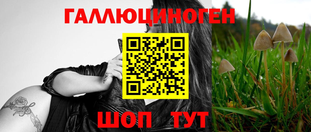 даркнет сайт  Галлюциногенные грибы Psilocybe  Псилоцибиновые грибы Magic Shrooms  Вход с VPN  Мончегорск 