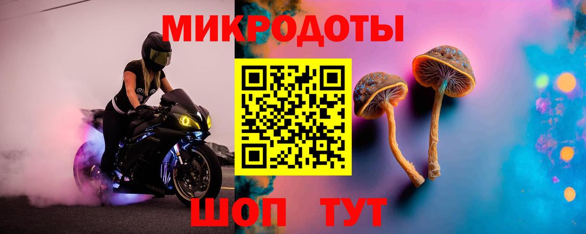 Псилоцибиновые грибы Psilocybine cubensis Мончегорск